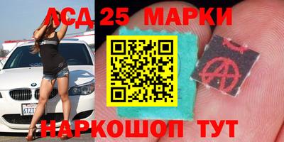 крисы Краснознаменск