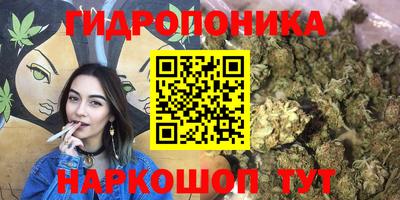 крисы Краснознаменск