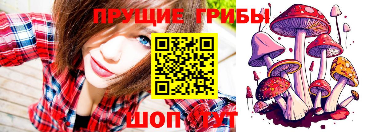 Псилоцибиновые грибы GOLDEN TEACHER  Вход с VPN  Ивантеевка 